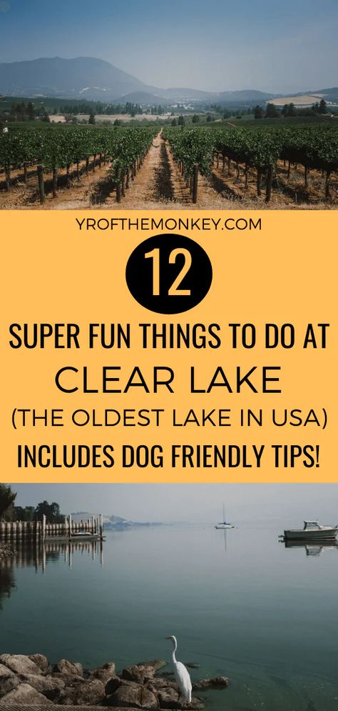 Lake County California, Clearlake California, Clear Lake California, Dog Friendly Vacation, Lakes In California, Los Angeles Travel, Lake County, Clear Lake, Usa Travel Guide