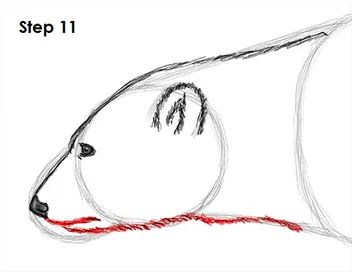 Polar Bear Drawing 11 References Animals, Draw A Polar Bear, Polar Bear Video, Bear Video, Polar Bear Drawing, Polar Bear Plush, Drawing Instructions, Winter Art Projects, Drawing Things