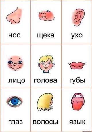 Face Vocabulary, Russian Writing, Teaching Emotions, Russian Alphabet, Russian Lessons, Russian Language Lessons, Russian Language Learning, Pre Writing Activities, Learn Russian