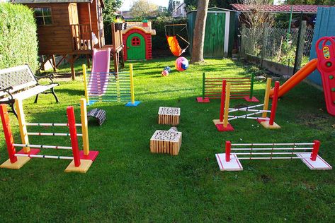 Rabbit Agility. I plan on teaching little Squirrel (polish) to do agility to help drain his never-ending energy. Rabbit agility is mostly done in the uk. Pet Agility Course Diy, Rabbit Obstacle Course Diy, Rabbit Exercise Pen, Rabbit Agility Diy, Rabbit Training, Rabbit Hopping, Dog Agility Teeter Totter Diy, Dog Agility Jumps Diy, Rabbit Things