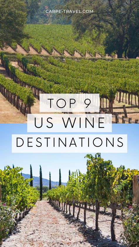 Winery Trip Ideas, Country Vacation, Vineyard Vacation, Wine Train, Wine 101, Vineyard Tour, Wine Country Travel, Wine Map, Usa Destinations