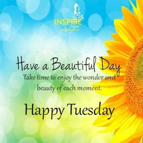 Good Morning Tuesday Wishes, Happy Tuesday Pictures, Happy Tuesday Images, Good Morning Tuesday Images, Tuesday Pictures, Happy Tuesday Morning, Tuesday Images, Tuesday Greetings, Monday Morning Quotes