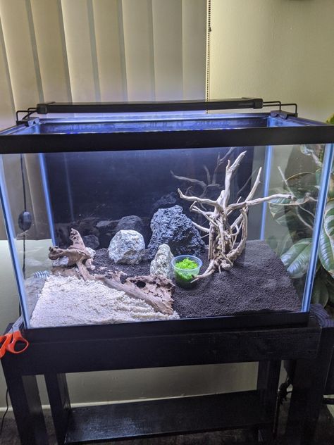 Black Sand Fish Tank Aquarium, Black And White Aquarium, Black Sand Aquarium Ideas, Black Sand Fish Tank, White Sand Aquarium, Black Sand Aquarium, Mens Bedroom Decor, Small Fish Tanks, Tropical Fish Tanks