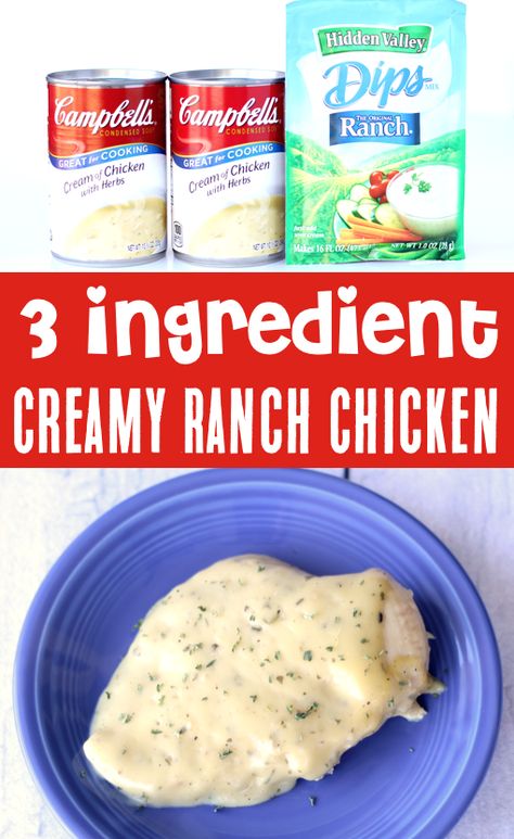 Creamy Ranch Chicken Recipe, Ranch Chicken Crockpot, Creamy Ranch Chicken, Dinner Videos, Pork Chop Recipes Crockpot, Creamy Chicken Recipes, Ranch Chicken Recipes, Creamy Ranch, Easy Dinner Recipes Crockpot