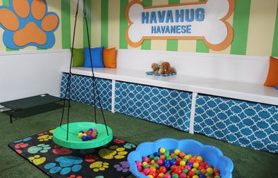 HavaHug Havanese Puppies - HavaHug Havanese Puppies of Michigan Puppy Playroom, Dog Play Room, Small Doggies, Doghouse Ideas, Dog Daycare Design, Chocolate Havanese, Puppy Playground, Whelping Puppies, Indoor Dog Park