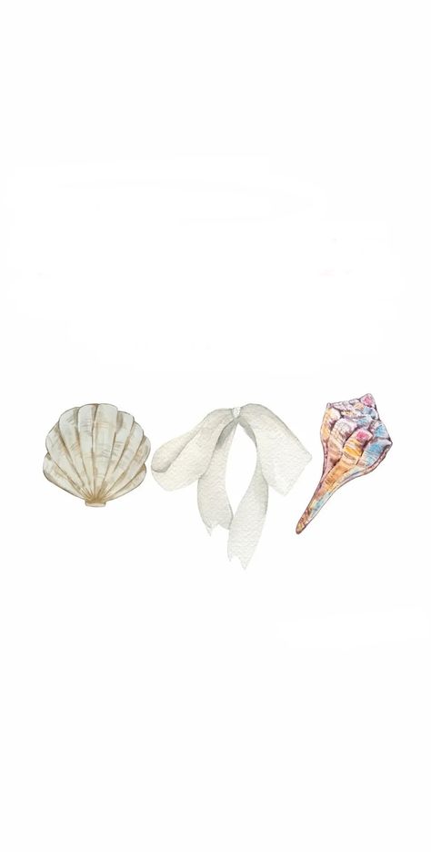 Costal Aesthic Wallpaper, Coastal Cowgirl Macbook Wallpaper, Tsitp Aesthetic Wallpaper Laptop, Coastal Laptop Wallpaper, Seashell Wallpaper Iphone, Preppy Seashell Wallpaper, Seashell Background Iphone Wallpapers, Seashell Phone Background, Coastal Background