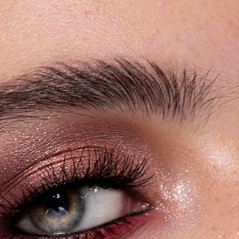 Sigma Beauty, Eye Look, Makeup Photography, Eyeshadow Makeup, Makeup Inspo, Eyeshadow Palette, Shades, Makeup, Photography