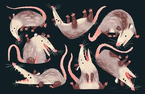 David DePasquale on Instagram: “Screamy boyes. . . #possum #opposum #characterdesign #illustration #animation” Opossum Wallpaper, Awesome Possum, Arte Inspo, Arte Animal, Pics Art, Animal Illustration, Pretty Art, Animal Drawings, Animal Art