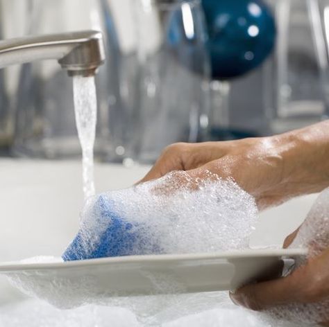 Hands washing a plate Washing Plates, Engineering Poster, Dishwasher Filter, Dishwasher Tabs, Dishwasher Cleaning, Miele Dishwasher, Books 2024, Cleaning Your Dishwasher, Dishwasher Cleaner