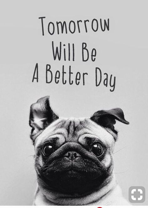 Tomorrow Is A New Day, Be Be, Good Day Quotes, Be Positive, Day Quotes, Better Day, Be Better, Too Long, A New Day