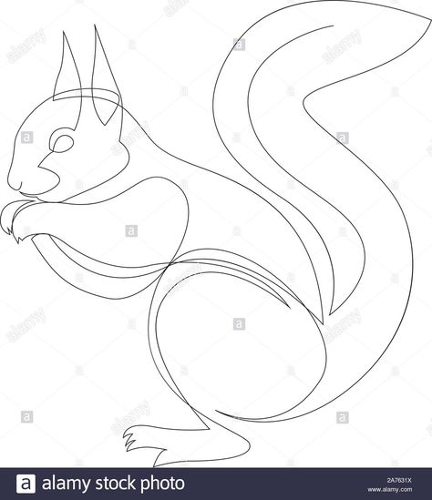 Drawing Squirrel, Squirrel Drawing, Multiple Images, Image Illustration, Stock Vector, Vector Images, Vector Illustration, High Resolution, Resolution