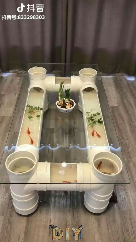 Fishes In Aquarium, Aquarium Diy, Home Aquarium, Aquarium Design, Kraf Diy, Diy Coffee Table, Studio Apartment Decorating, Diy Coffee, Small Studio