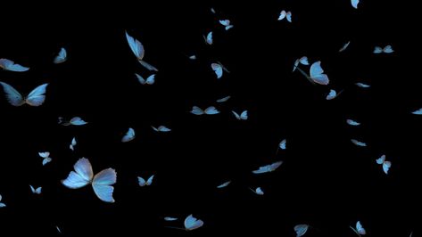 Butterflies Animation, Butterfly Video, Flying Butterflies, Overlays Cute, Butterfly Background, Pink Background Images, Green Background Video, Cute Fall Wallpaper, Wallpaper Iphone Neon