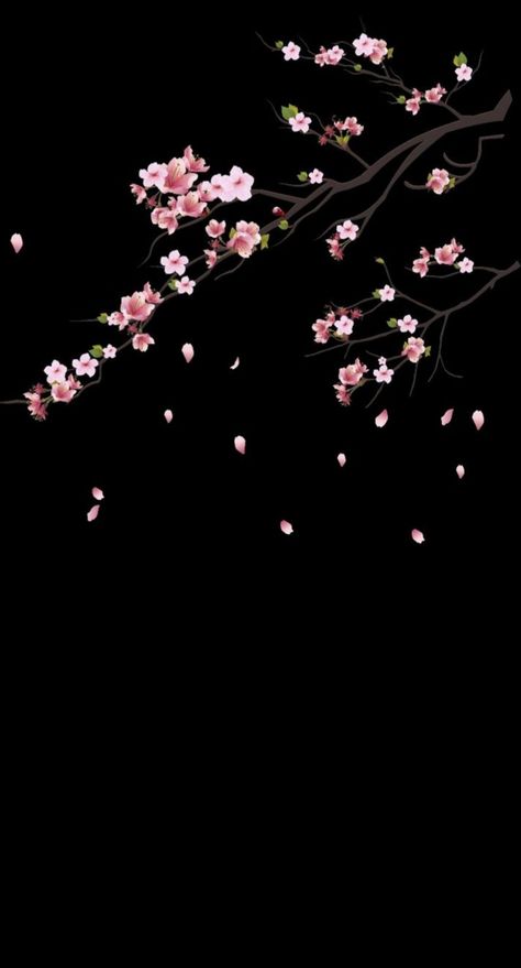 Black Cherry Blossom Wallpaper, Black And Pink Aesthetic Dark, Black And Pink Aesthetic Wallpaper Iphone, Dark Flower Background, Cherry Blossom Tree Wallpaper, Cherry Blossoms Wallpaper, Flower Wall Background, Iphone Wallpaper Japan, Sakura Wallpaper