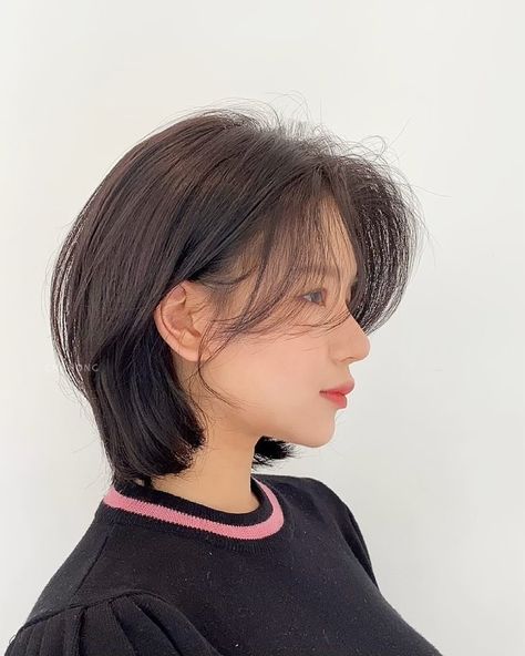 Curtain Bangs Short Hair, Curtain Bangs Short, Bangs Short Hair, Short Hair Tomboy, Short Hair Black, Asian Short Hair, Bangs Short, Shot Hair Styles, Very Short Hair