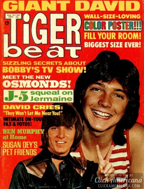 Tiger Beat (August 1971) Giant David [Cassidy] wall-size-loving color poster! Fill your room! Biggest size ever! Sizzling secrets about Bobby’s TV show! Meet the new Osmonds! David cries: “They won’t let me near you!” Intimate on-tour fax & fotos Susan Dey’s pet friends   Tiger Beat (April 1972) Super Donny [Osmond] issue! “Be my date for my brother’s wedding!” David [Cassidy] reveals his new loves – plans – dreams… plus 2 kiss-kiss color pin-ups! Exclusive! Chris Knight intimates   Tiger Beat ( Tiger Beat Magazine, Susan Dey, Tiger Beat, Vintage Tiger, The Osmonds, Donny Osmond, Marie Osmond, Teen Magazine, David Cassidy