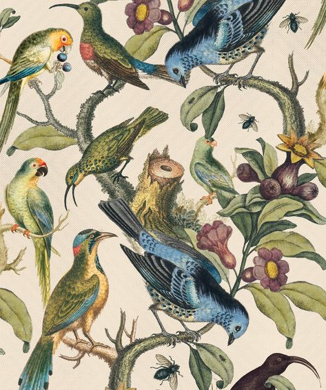 ornithology, Paradis, fine and dandy, bathroom wallpaper, wallpaper for the bathroom, bathroom décor, bathroom inspo, floral bathroom wallpaper, marble wallpaper, pink tile wallpaper, white subway tile wallpaper, herringbone wallpaper, tile progress, herringbone, bird life fabric, Milton and king, Anthropologie, grand heron, dwell studio, , cranes Ornithology Wallpaper, Bathroom Wallpaper Trends, Vintage Bird Wallpaper, Comic Book Wallpaper, Statement Wallpaper, Casa Country, Birds And Flowers, Branch Design, Wallpaper Trends