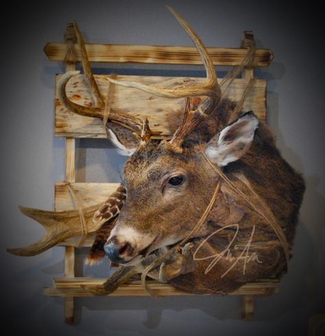 Pack mount with moose shed and turkey feathers Moose Taxidermy Mounts, Turkey Taxidermy Mounts, Deer Skull Decor, Deer Hunting Decor, Deer Hunting Tips, Deer Mounts, Whitetail Bucks, Hunting Decor, Taxidermy Mounts