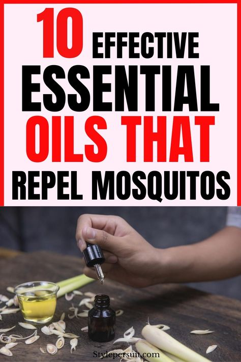 10 Best Essential Oils for Mosquito Repellents Essential Oils For Mosquito Repellent, Misquote Repellent Essential Oils, Essential Oils For Mosquitoes, Mosquito Repellent Essential Oils, Mosquito Repellent Candle, Best Mosquito Repellent, Mosquito Repellent Homemade, Diy Mosquito Repellent, Natural Insecticide