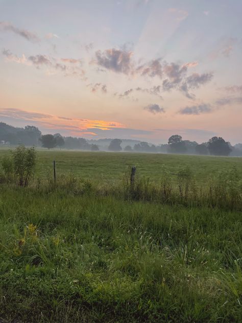 Morning mist dew fairy arkansas landscape Morning Dew, Wild Flowers, Natural Landmarks, Travel