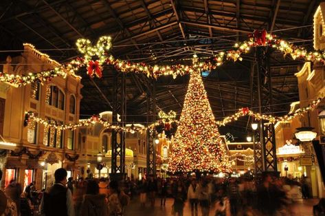 Christmas in Tokyo Disneyland Disney Tokyo, Tokyo Disneysea, Disneyland Christmas, Halloween Facts, Tokyo Disney Sea, Tokyo Disney, Tokyo Disneyland, Tokyo Disney Resort, Disney Resort