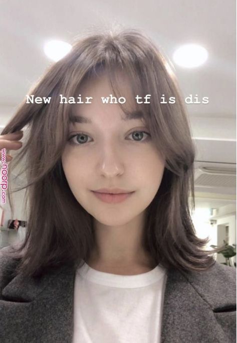 Angelina Danilova, Ulzzang Hair, Korean Short Hair, Shot Hair Styles, 짧은 머리, Curtain Bangs, Medium Hair Cuts, Short Hair With Bangs, Grunge Hair