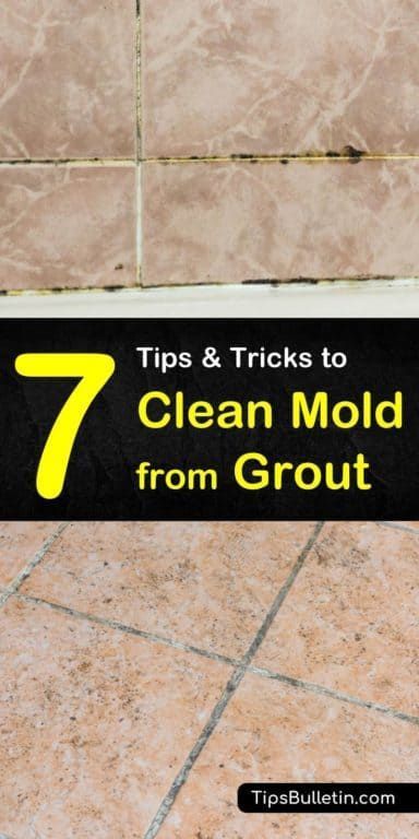 Do you know how to remove mold from shower tile? It is really hard. But with some bleach and a little baking soda, your bathroom can sparkle once again! #mold #grout #cleaning Remove Mold From Shower, Clean Shower Grout, Cleaning Shower Tiles, Shower Mold, Shower Grout, Bathroom Grout, Remove Mold, Cleaning Mold, Week Schedule