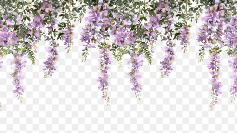 Hanging Flowers Illustration, Purple Hanging Flowers, Wisteria Aesthetic, Purple Flower Border, Vine Illustration, Aesthetic Pngs, Flower Border Png, Border Illustration, Vine Plants