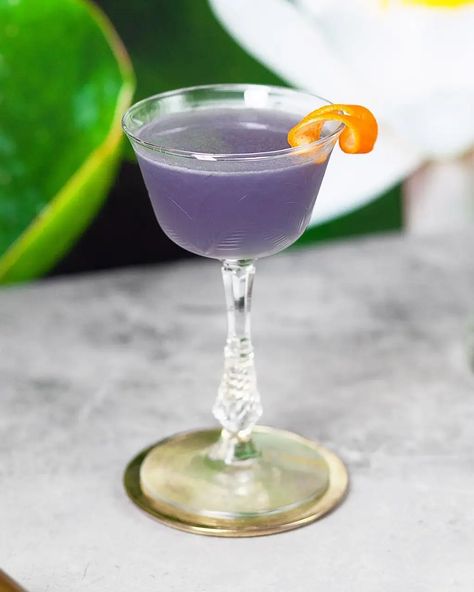 Water Lily Cocktail Recipe • Novel Nightcaps Lily Cocktail, Gin Lemon, Gin Drinks, Cocktail Book, Triple Sec, City New York, Night Cap, Cocktail Glass, Cocktail Recipe