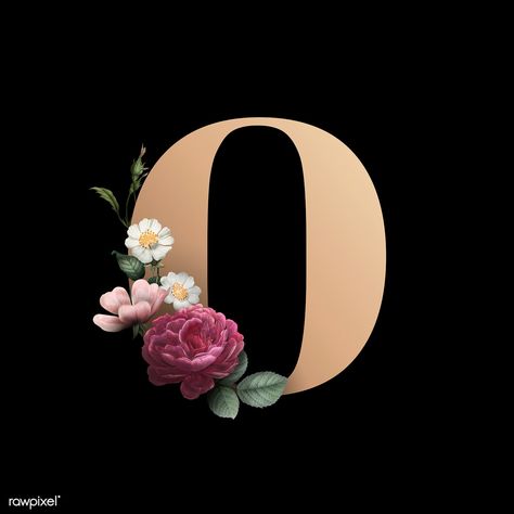 Classic and elegant floral alphabet font letter O | free image by rawpixel.com / manotang Monogram Wallpaper, Flowers Black Background, Floral Font, Stylish Alphabets, Alphabet Font, Alfabet Letters, Flora Design, Floral Alphabet, Alphabet Wallpaper