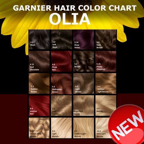 Click to close or click and hold for moving picture. Garnier Hair Color Chart, Hair Colour Chart, Hair Dye Color Chart, Olia Hair Color, Warm Brown Hair Color, Dark Brown Hair Dye, Brown Hair Color Chart, Garnier Hair Color, Hair Chart