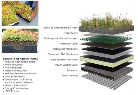 Eco Roof, Green Roof Design, Extensive Green Roof, Zero Energy Building, Urban Heat Island, Urban Design Concept, Membrane Roof, Green Roofs, Double Skin