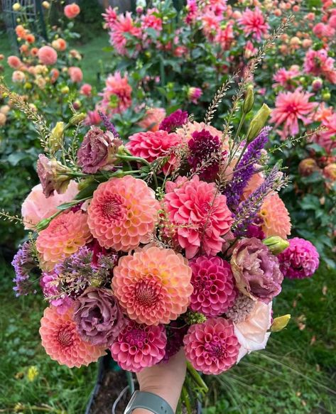 Dahlia Flower Arrangements, Dahlia Wedding Bouquets, Different Vibes, Dahlias Wedding, Dahlia Bouquet, Flower Farmer, Cut Flower Garden, Colorful Bouquet, Bouquet Arrangements