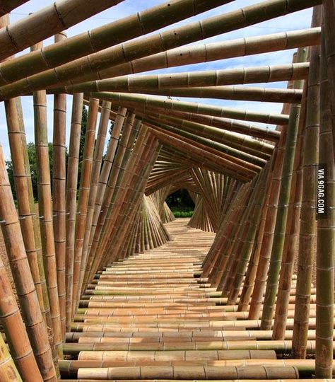 Bamboo walkway Taman Air, Bamboo Structure, Bamboo Architecture, Bamboo Construction, Bamboo House, Bamboo Garden, Bamboo Furniture, Bamboo Design, Land Art