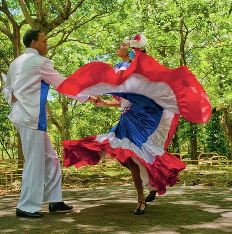 Dominican Republic Culture, Puerto Rican Pride, Hispanic Culture, Afrocentric Art, Ap Art, Dominican Republic, Puerto Rico, History, Samana