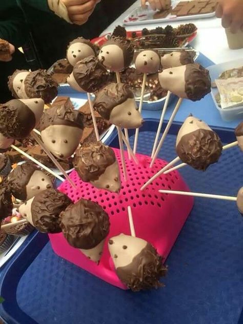 Hedgehog cake pops Hedgehog Cake Pops, Hedgehog Treats, Hedgehog Ideas, Animal Cake Pops, Hedgehog Party, Hedgehog Cake, Hedgehog Birthday, Animal Cake, Woodland Baby