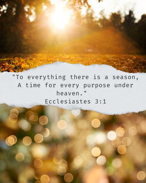 🍂🍁 "To everything there is a season, A time for every purpose under heaven." - Ecclesiastes 3:1 🍁🍂 #FallSeason #TimeForChange #SeasonsOfLife #Purpose #Ecclesiastes #AutumnLeaves #SundayVibes For Every Season There Is A Purpose, Ecclesiastes To Everything There Is A Season, For Everything There Is A Season, To Everything There Is A Season, Ecclesiastes 3:1, Season Of Life Quotes, A Time For Everything Ecclesiastes, Autumn Scripture, Joyful Quotes