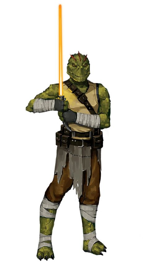 Krook Tuk Will Nunes, Star Wars Legacy, Jedi Art, Grey Jedi, Star Wars Species, Clone Wars Art, Fantasy Flight Games, Star Wars Characters Pictures, Star Wars Concept Art