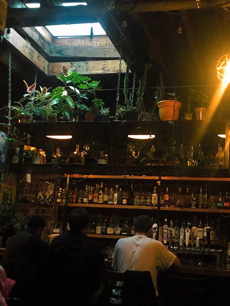 Bar Vibes Aesthetic, Bar With Plants, Ashley Aesthetic, Fern Bar, Greenhouse Bar, Kava Bar, Plant Bar, Client Board, Night Bar