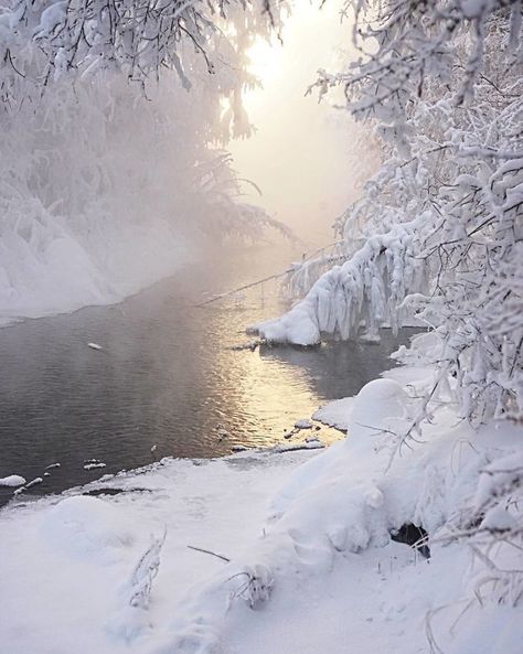 village  in Oymyakonsky District of the Sakha Republic, Russia Cold Summer, How To Make Snow, Frozen Lake, Winter Scenery, Snow And Ice, Places Around The World, Winter Snow, Photography Tips, Trees