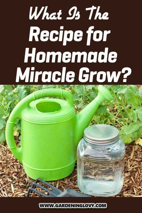 Homemade Miracle Grow is a wonderful fertilizer that uses organic ingredients, making it great for the growth of plants. Read here to find out the recipe for homemade miracle grow. Tomato Plant Fertilizer Diy, Make Your Own Miracle Grow, Diy Vegetable Fertilizer, Miracle Grow Plant Food, Diy Tomato Fertilizer, Homemade Houseplant Fertilizer, Flower Fertilizer Homemade, Liquid Fertilizer Diy, Homemade Plant Fertilizer Recipe