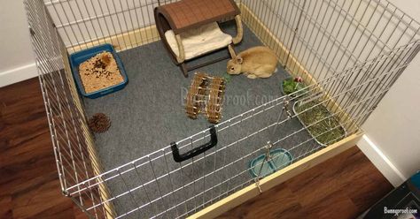 What is the best floor for my bunny enclosure? Indoor Rabbit Enclosure, Indoor Rabbit Run, Rabbit Enclosures, Indoor Bunny House, Bunny Enclosure, Diy Bunny Cage, Indoor Rabbit House, Indoor Rabbit Cage, Rabbit Hutch Indoor