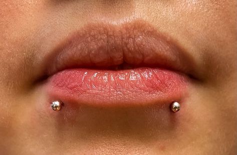 THE ONLY KIND OF SNAKE BITES THAT ARE GOOD FOR YOU 🐍  PIERCED BY @esthetic_drip_  Soho, Union Square, and Williamsburg  11AM-9PM 7 DAYS A/W🕘 WALK-INZ OR BOOK ONLINE..📕 TATTOOS & PIERCINGS, NO ATTITUDE, NO MISERABLE HOOPS TO JUMP THROUGH....🚫 WALK-INZ WELCOME OR BOOK ONLINE AT ⚔️livebytheswordtattoo.com⚔️ . . . . #livebythesword #snakebite #snakebitepiercing #piercingcheck #lippiercing Piercing Setup, Snake Bites Piercing, Dream Piercings, Snake Bite Piercing, Kinds Of Snakes, Snake Bite, Piercing Inspo, Face Piercings, Snake Bites