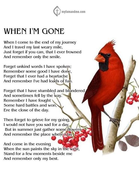 Cardinal Crossing - When I am gone .... 🌹🖤🥀🖤🌹 | Facebook When I Am Gone, Unkind Words, I Miss My Family, Dont Ever Give Up, When Someone Dies, Yes And Amen, I Have Spoken, Cardinal Birds, I Love You Forever