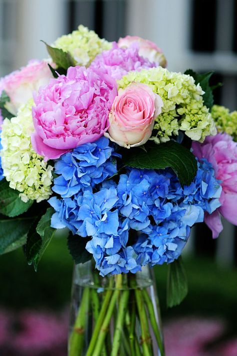 City Flowers, Peonies And Hydrangeas, Hydrangea Bouquet, Blue Hydrangeas, Prom Flowers, Bright Wedding, Peonies Bouquet, White Peonies, Dallas Wedding