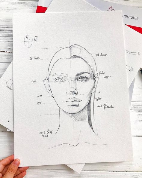 Fation Design, Mannequin Drawing, Shape Illustration, Face Proportions, Face Features, Fashion Illustration Sketches Dresses, Human Drawing, Fashion Illustration Sketches, Fashion Figures