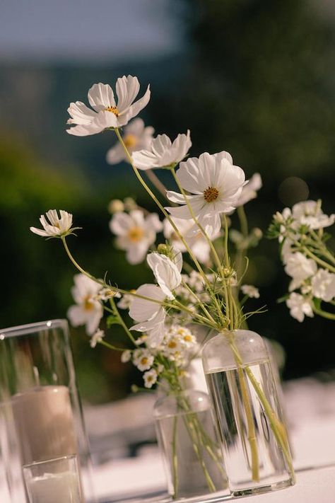 Simplistic Wedding Theme, Bud Vases Wedding Centerpiece White Flowers, Cosmos Bridesmaids Bouquet, Bouquet With Cosmos, Bud Vase With White Flowers, White Wildflower Centerpieces, Modern White Flowers Wedding, Clean Wild Wedding Aesthetic, Simple Table Flowers Wedding