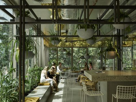 When it comes to office design, biophilia is for sure leading the way. Nature is the spirit of the 2022 Australian Interior Design Awards, with leafy goodness, recycled furniture and indoor trees filling up office spaces. Read more on why, via commercialrealestate. Garden Studio Interior, Brisbane Architecture, Brisbane Architects, Australian Interior, Australian Interior Design, Interior Design Awards, Studio Interior Design, Australian Architecture, Architecture Awards