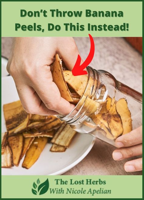 If you throw away the peel after you eat a banana, you should read this. You’ll never do it again! Using Bananas In The Garden, Banana Peel Fertilizer, Backyard Homesteading, Banana Uses, Banana Peels, Compost Pile, Banana Benefits, Plant Benefits, Dried Bananas