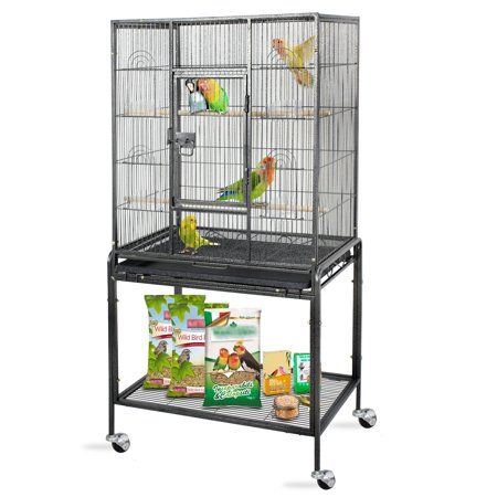 Finch Cage, Cockatiel Cage, Diy Bird Cage, Bird Cage Stand, Parakeet Cage, Sun Conure, Large Bird Cages, Puppies Tips, Parrot Toys